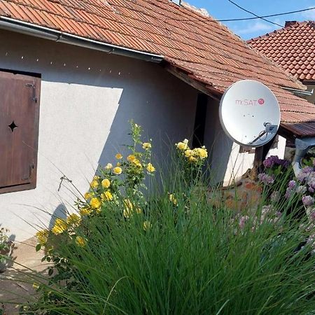 Apartman Nebojsa Rudnik Exterior foto