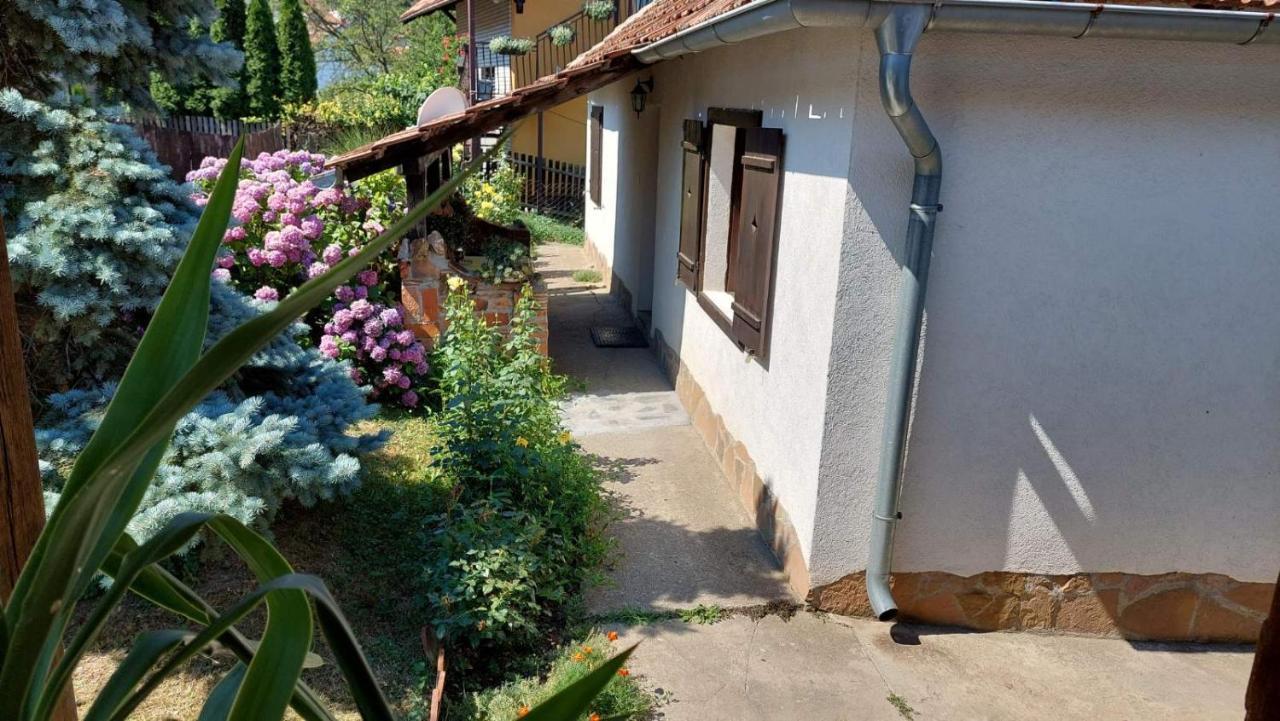 Apartman Nebojsa Rudnik Exterior foto